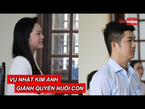 Huỷ án sơ thẩm vụ Nhật Kim Anh giành quyền nuôi con