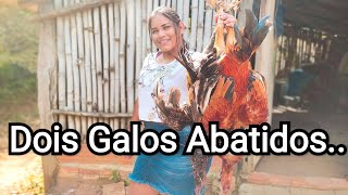 Abate De Dois Galos