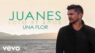 Video Una Flor Juanes