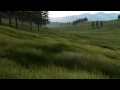 Procedural grass in Outerra