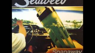 Watch Seaweed Free Drug Zone video