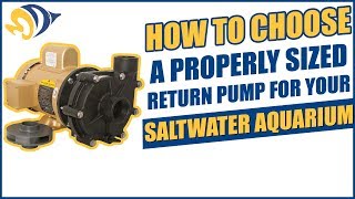 How To Choose A Properly Sized Return Pump For Your Saler Aquarium