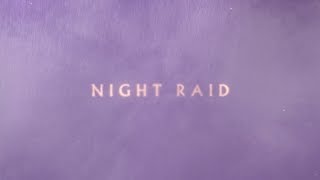 Watch Nick Cave  The Bad Seeds Night Raid video