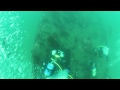 SCUBA Diving: Ruby E Wreck (9/2)
