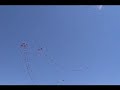 Amazing KITE Flying!