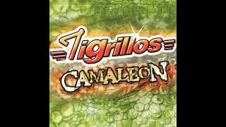 Watch Los Tigrillos El Camaleon video