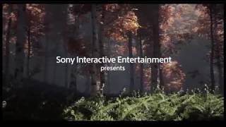 Sony Interactive Entertainment/Naughty Dog (2017)