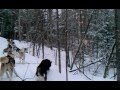 Dog sledding. Outaouais, Quebec Ursula Maxwell Lewis video.3gp default Dog sledding. Outaouais, Quebec Ursula Maxwell Lewis video.3gp