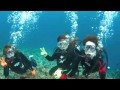 瀬底島体験ダイビング　2013年2月13日