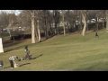 eagle