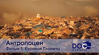 Антропоцен - Фильм 1. Куриная Планета - Научно-Познавательный Фильм