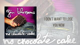 Watch Gin Blossoms I Dont Want To Lose You Now video