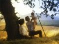 ANDIAMO A MIETERE IL GRANO - ARMONICA