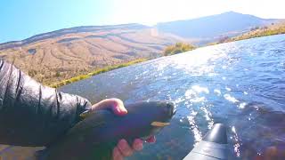 Dave Scadden's Detonator & Predator on Deschutes Trout Spey!