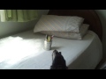 Disparos na lata com a Pistola de Airsoft PT 92 Spring da CyberGun (KWC)