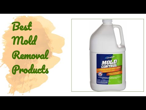 π΅4 Best Mold Removal Products 2020