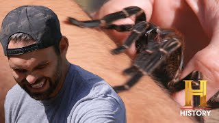 Kings Of Pain 4 Terrifying Insect Bites - The Worst Pain Ive Ever Felt