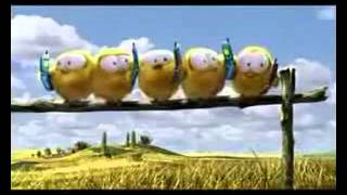 video corto 6 para whatsapp video corto 6 para whatsapp