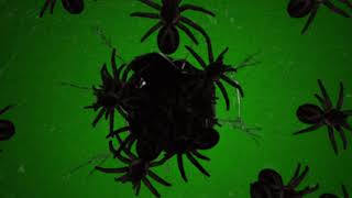 Spooky Spider Animation Green Screenfree To Use