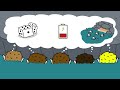 My Horrible Island Adventure