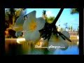 Download Relaxing Traditional Music Degung Bali... (Juru Pencar).wmv MP3 song and Music Video