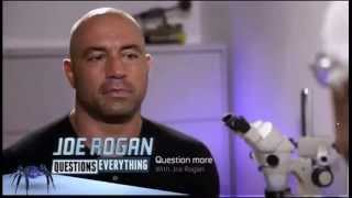 Dr. David Swenson Interview About The Sasquatch Genome Findings