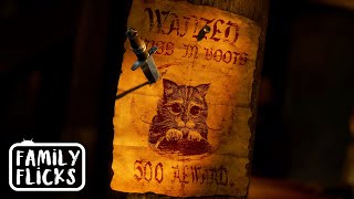 Criminal Cat Outlaw Puss In Boots 2011 Family Flicks