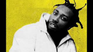 Watch Ol Dirty Bastard Drug Free Remix video
