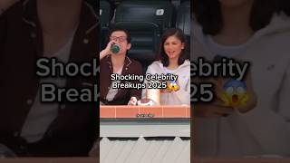 2025 Shocking Celebrity Breakups
