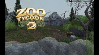 Zoo Ty 2 Grizzly Bear Speed Build