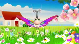 Fly Fly The Erfly Children Songs With Lyrics