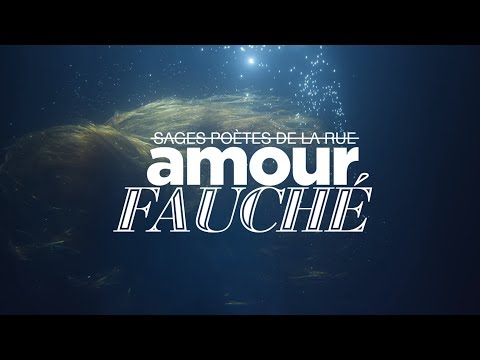 Sages Poètes de la Rue - Amour Fauché (Clip Officiel)