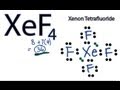 XeF4 Lewis Structure - How to Draw the Lewis Structure for XeF4