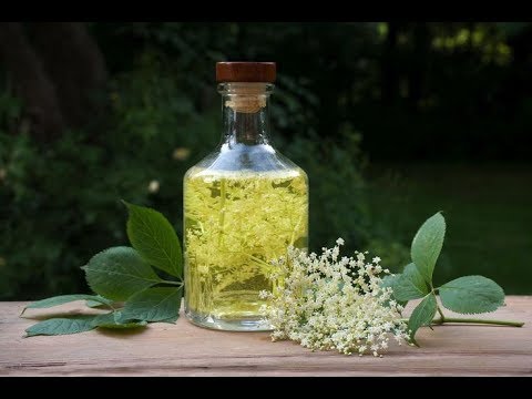 Шампанское с бузины