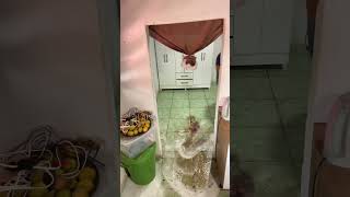 Limpeza No Quarto