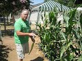 Garden tips