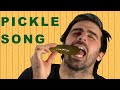 Pickle Song - Official Music Video