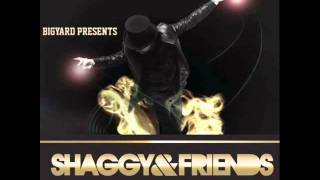 Watch Shaggy Thank You feat Rik Rok video