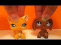 Lps Crush Music Video