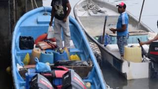 Panama City dock and fish market