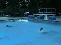 Wedding Swimming Ohio June 2012 040.AVI