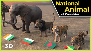national animal of the world | National animal | Data world studio | world data