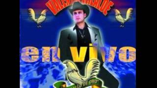Porque Te Vas De Mi - Valentin Elizalde