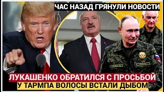 Экстренный Звонок Лукашенко Трампу Прогремел Утром Вот Что Попросил Вы Не Поверите