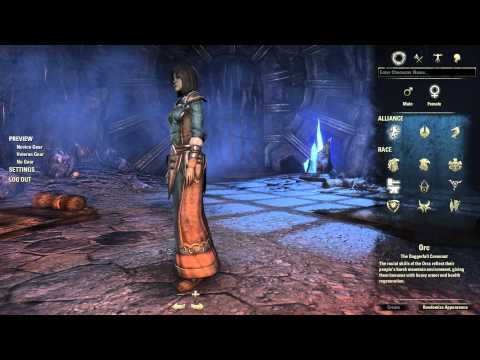  Creation - High Elf (In Depth ESO Character Customization Review