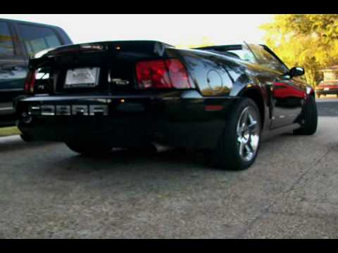 2004 Mustang Cobra Terminator WOT Supercharger Whine