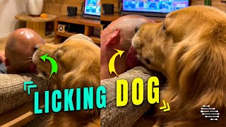 Dog Licking Dads Head