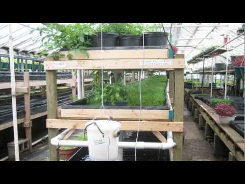 Aquaponics 4 You