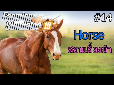 Farming Simulator 19 #14 สอนเลี้ยงม้าฉบับสมบูรณ์แบบ Horse