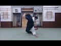 Aikido Highlight - Shirakawa Ryuji sensei